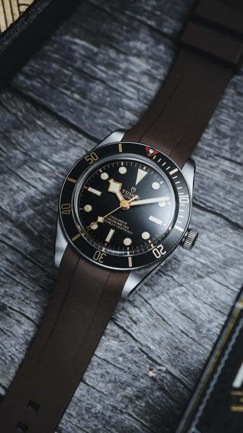 Correas Tudor Black Bay 58